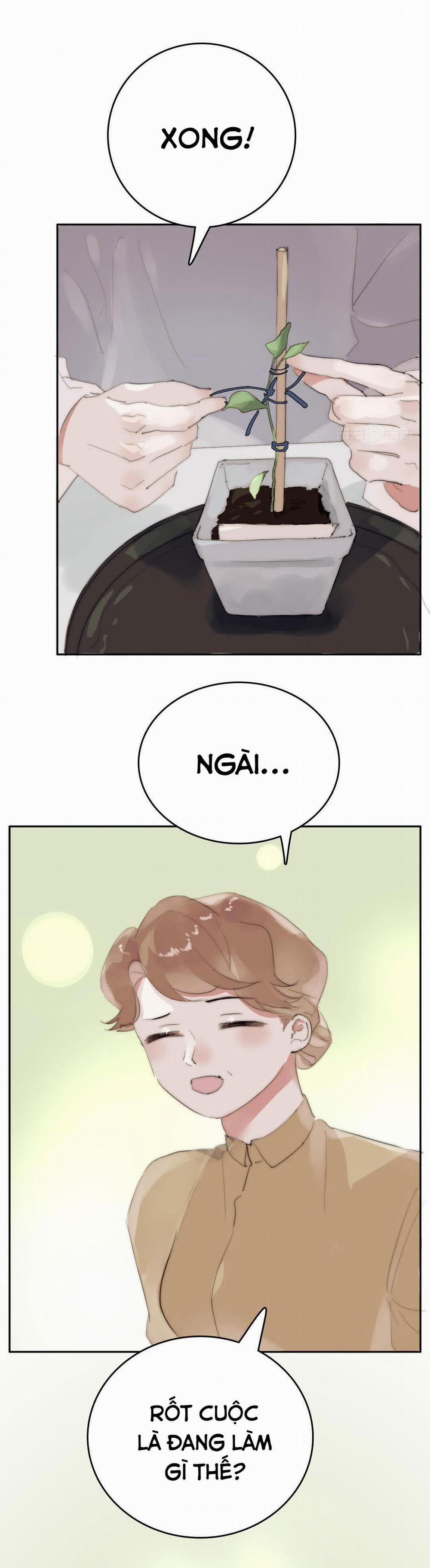 Phía Sau Cuốn Sách 18 trang 6