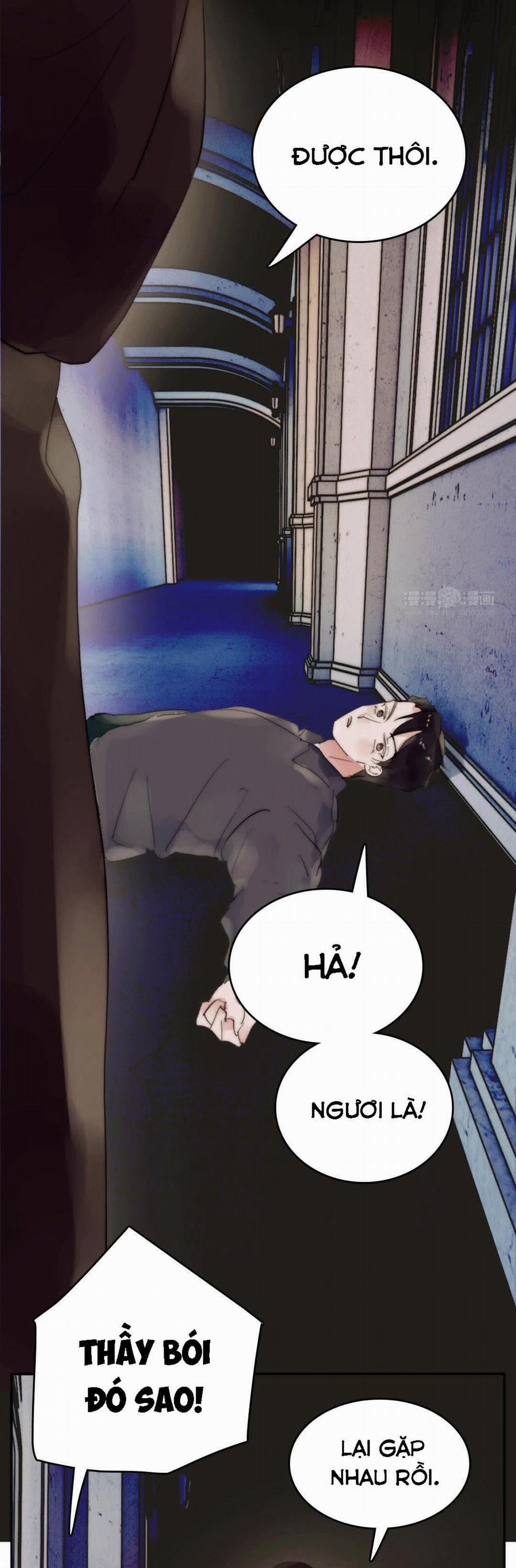 Phía Sau Cuốn Sách 19 trang 23