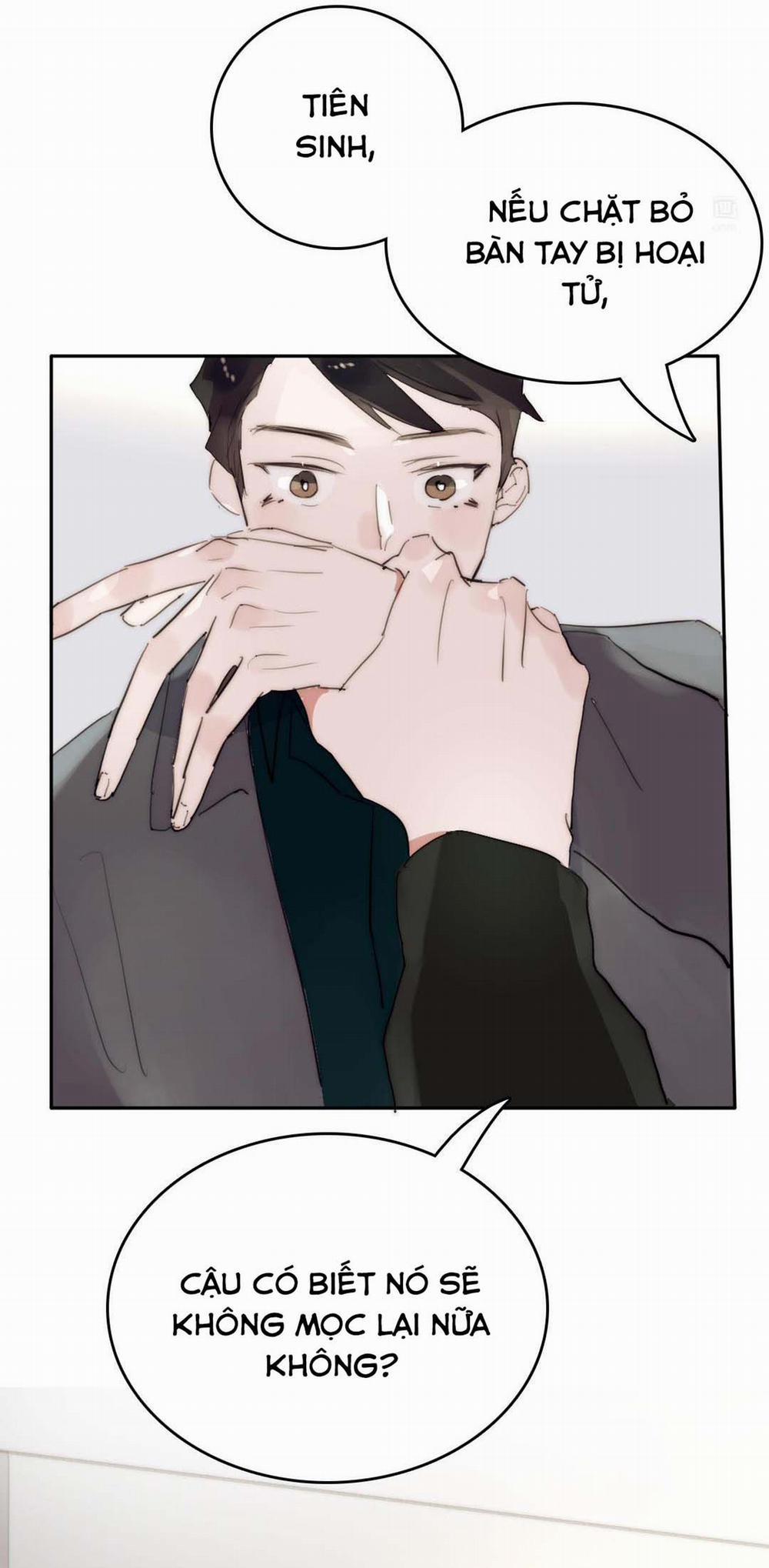 Phía Sau Cuốn Sách 26 trang 19