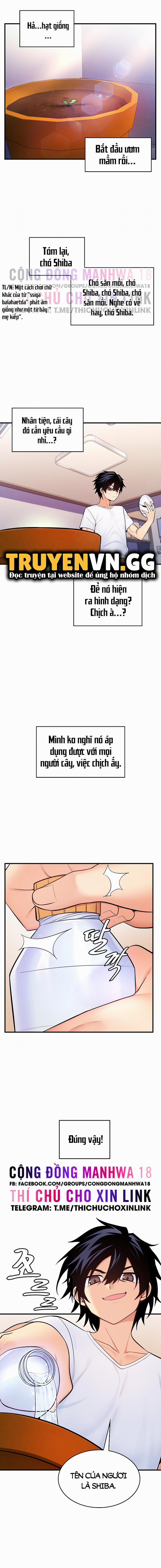 Phịch Cây Thế Giới 11 trang 11