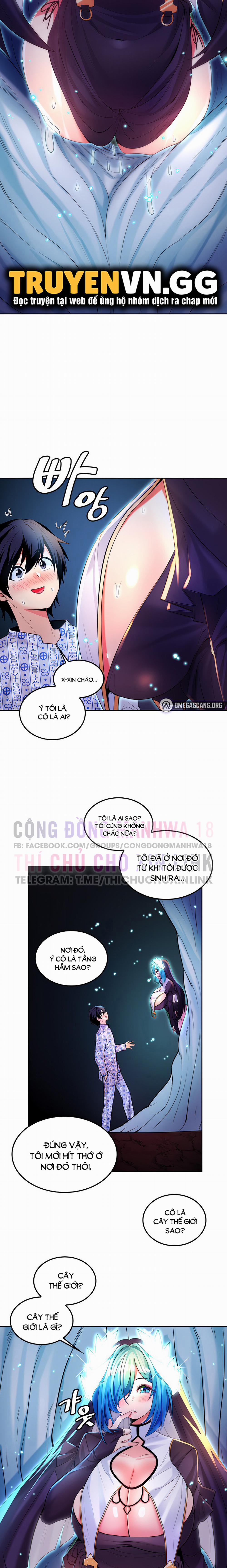 Phịch Cây Thế Giới 30 trang 14