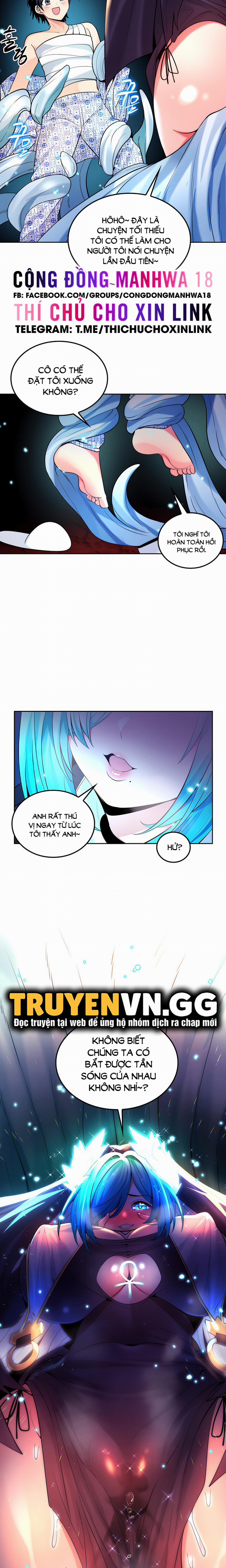 Phịch Cây Thế Giới 30 trang 17