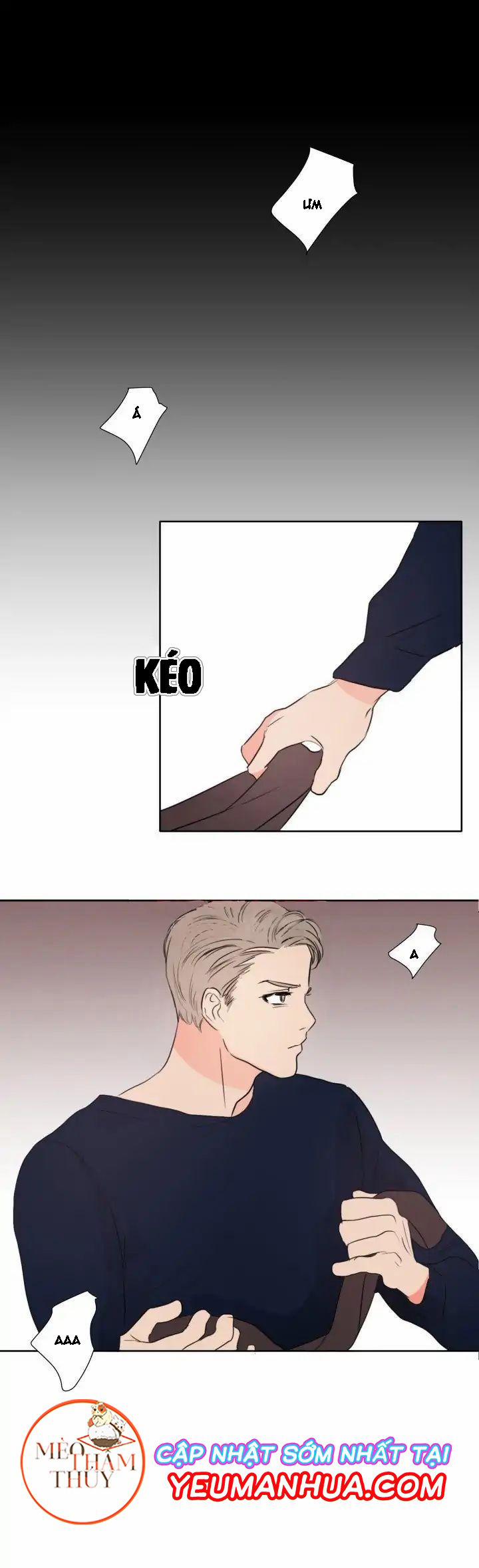 Phòng 1305 7 trang 16