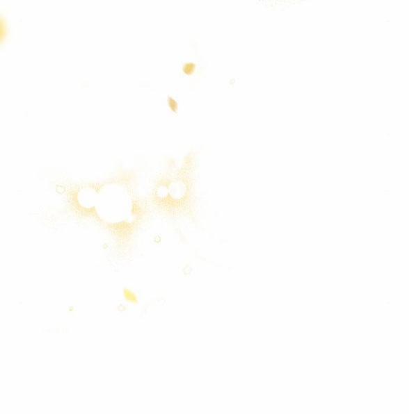 Phòng Ngủ Bí Mật Của Công Chúa Bị Bỏ Rơi 13.5 trang 65