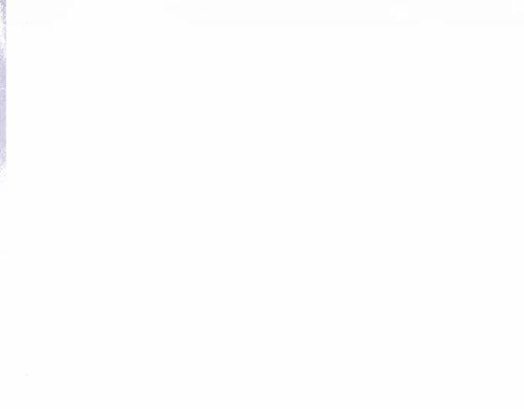 Phòng Ngủ Bí Mật Của Công Chúa Bị Bỏ Rơi 47 trang 13