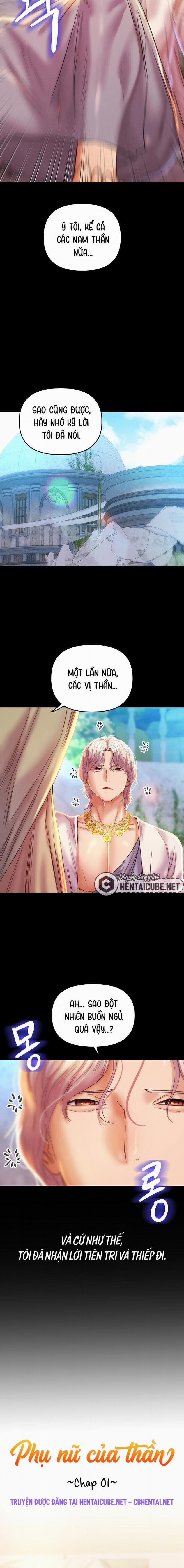 Phụ nữ của thần 1 trang 19