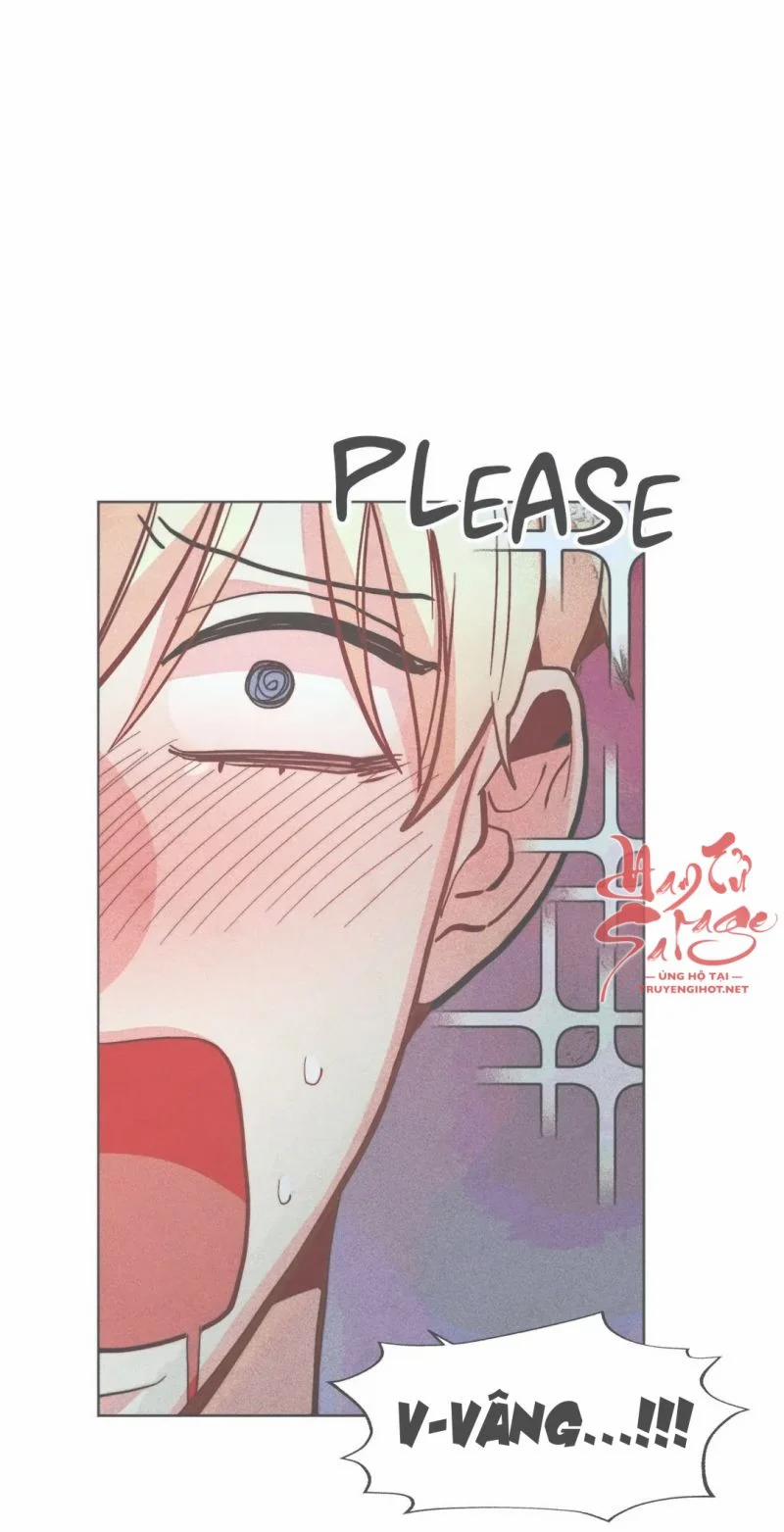 Phù Thuỷ Trinh Trắng Tuổi 30 91 trang 2