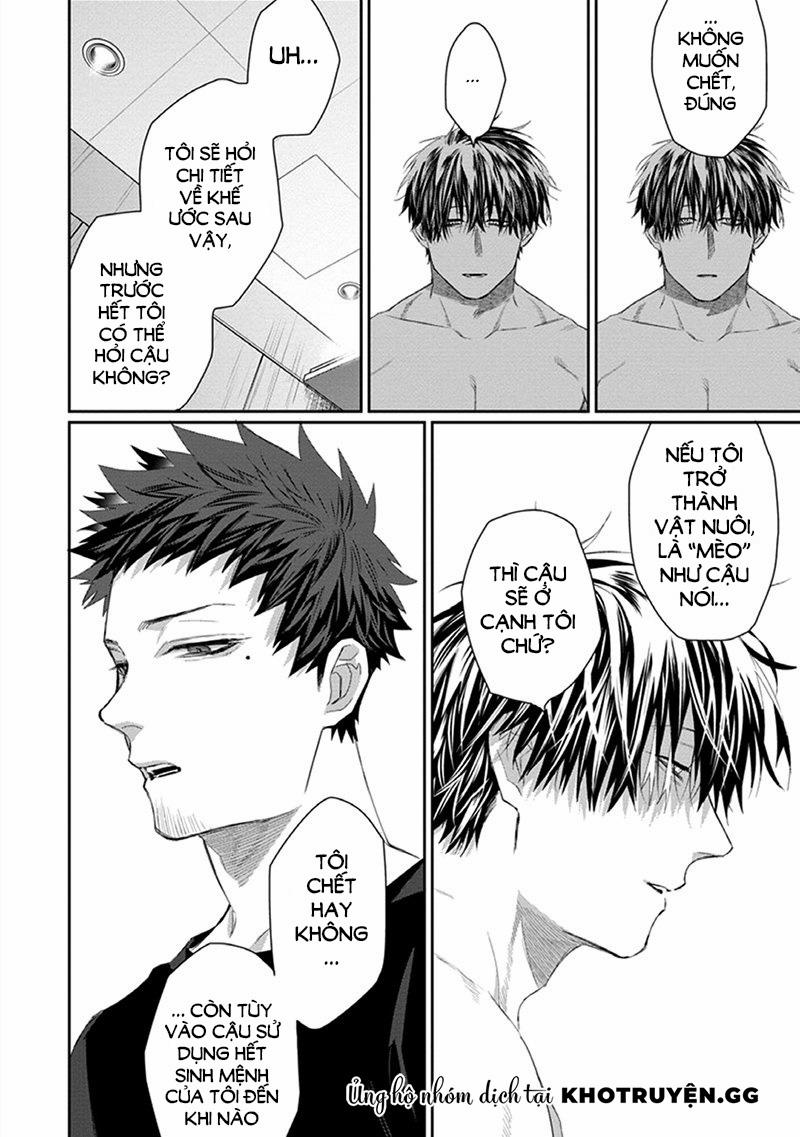 Phù Thủy Và Chàng Mèo Của Anh 2 trang 11
