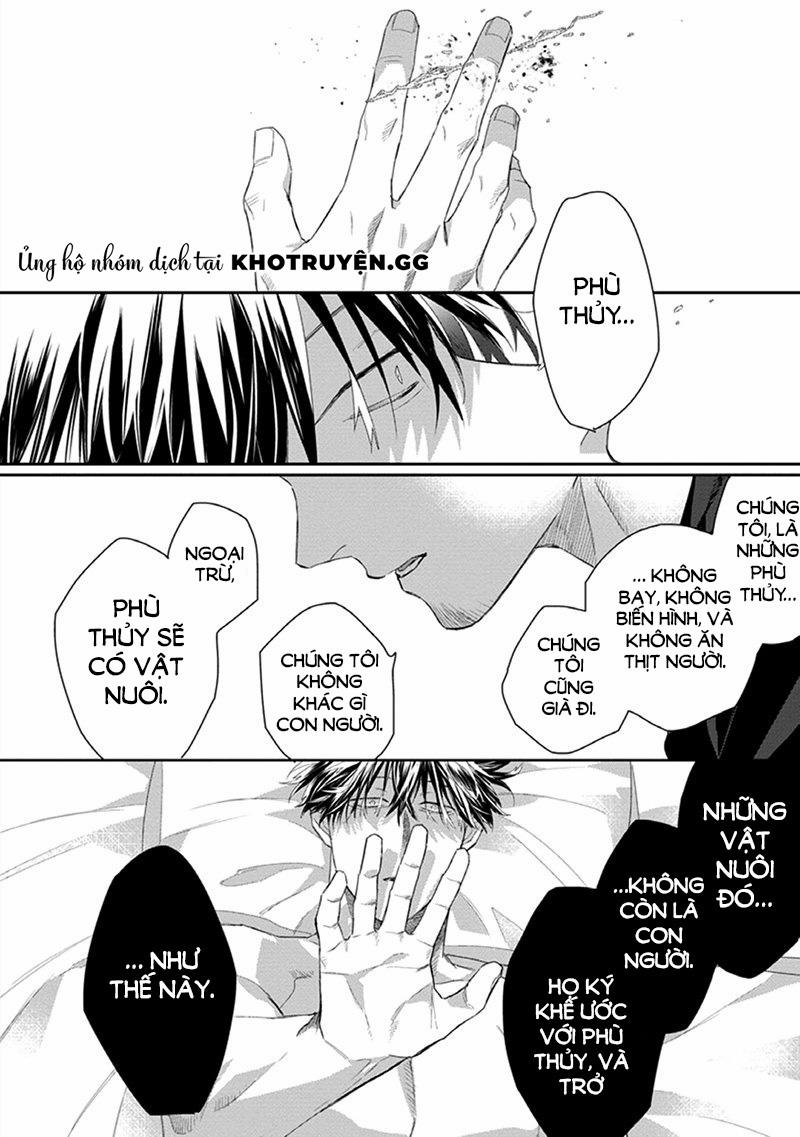 Phù Thủy Và Chàng Mèo Của Anh 2 trang 3