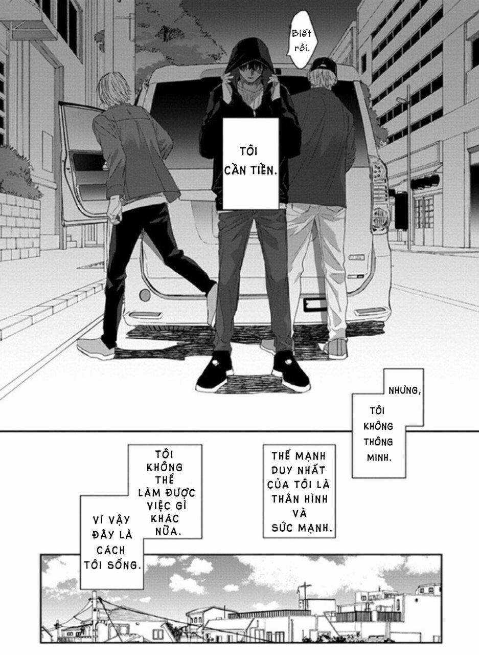 Phù Thủy Và Chú Mèo 1 trang 11