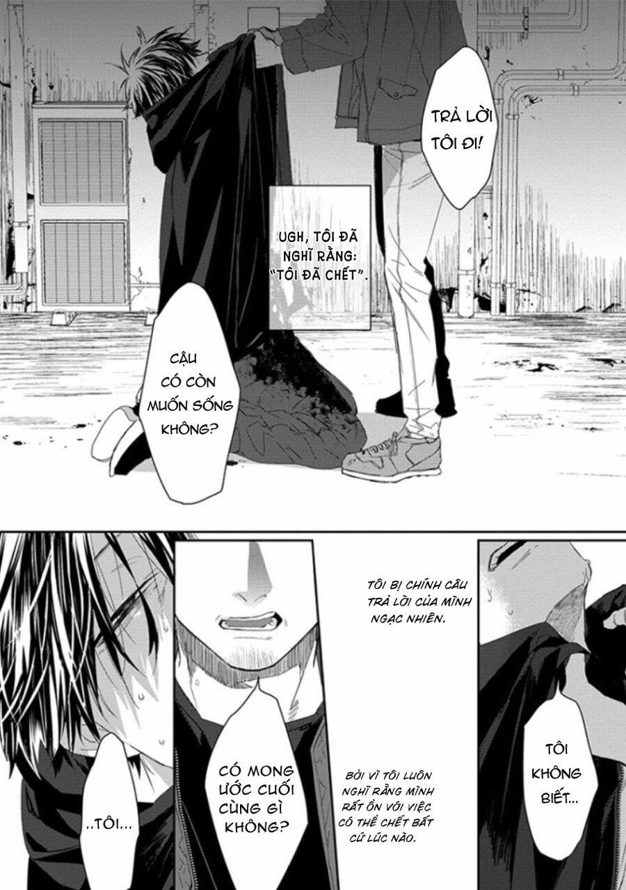 Phù Thủy Và Chú Mèo 1 trang 5