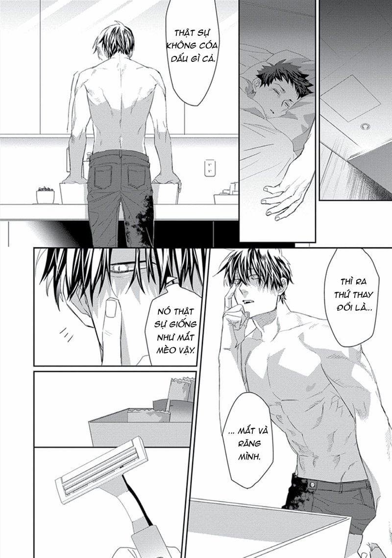 Phù Thủy Và Chú Mèo 2 trang 21