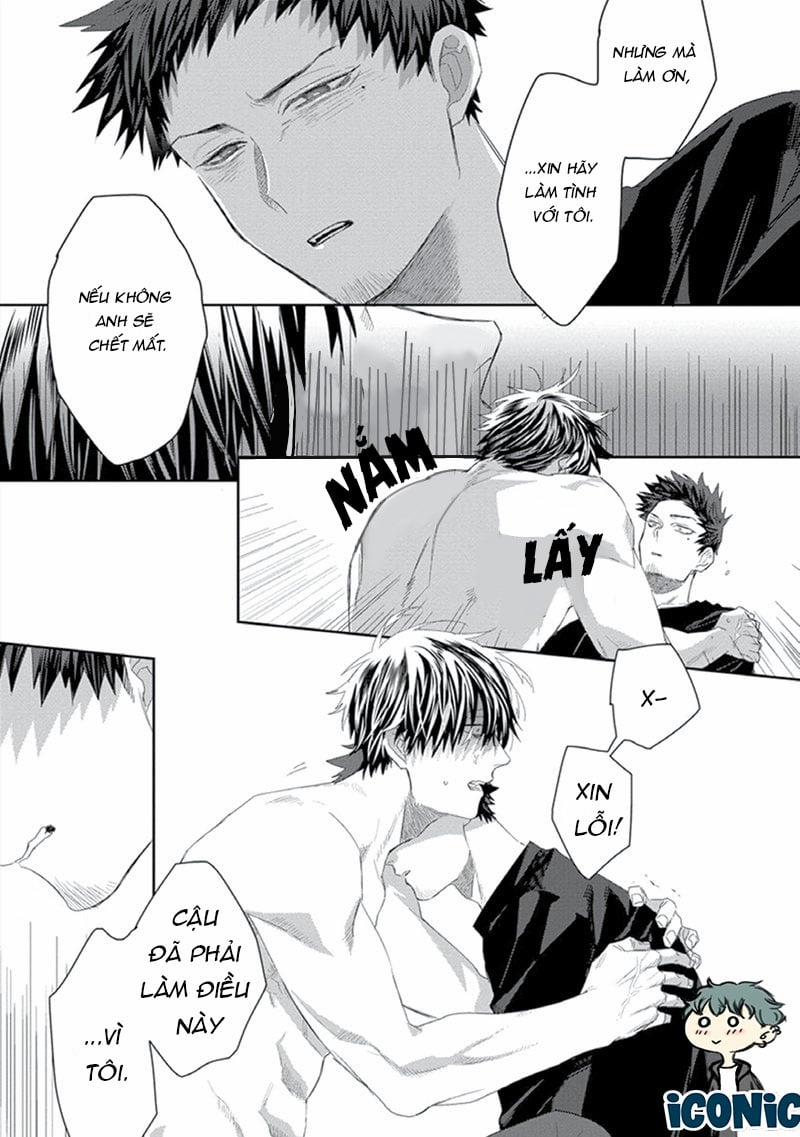 Phù Thủy Và Chú Mèo 2 trang 8