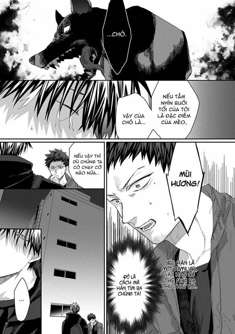 Phù Thủy Và Chú Mèo 3 trang 12