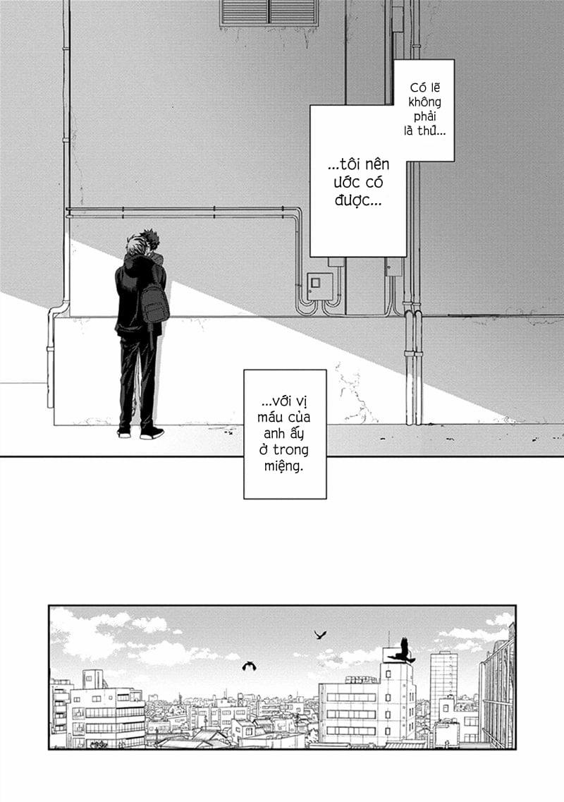 Phù Thủy Và Chú Mèo 3 trang 43