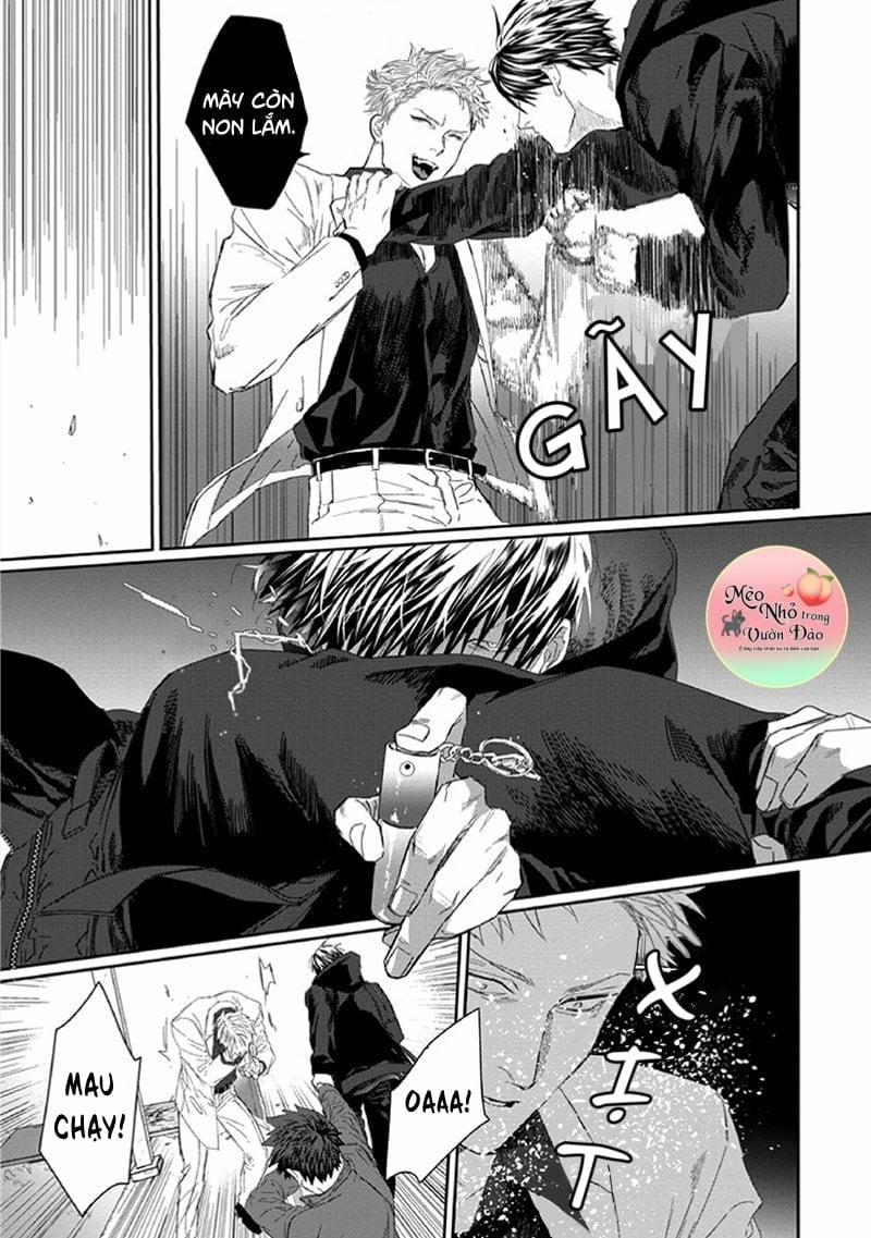 Phù Thủy Và Chú Mèo 3 trang 8