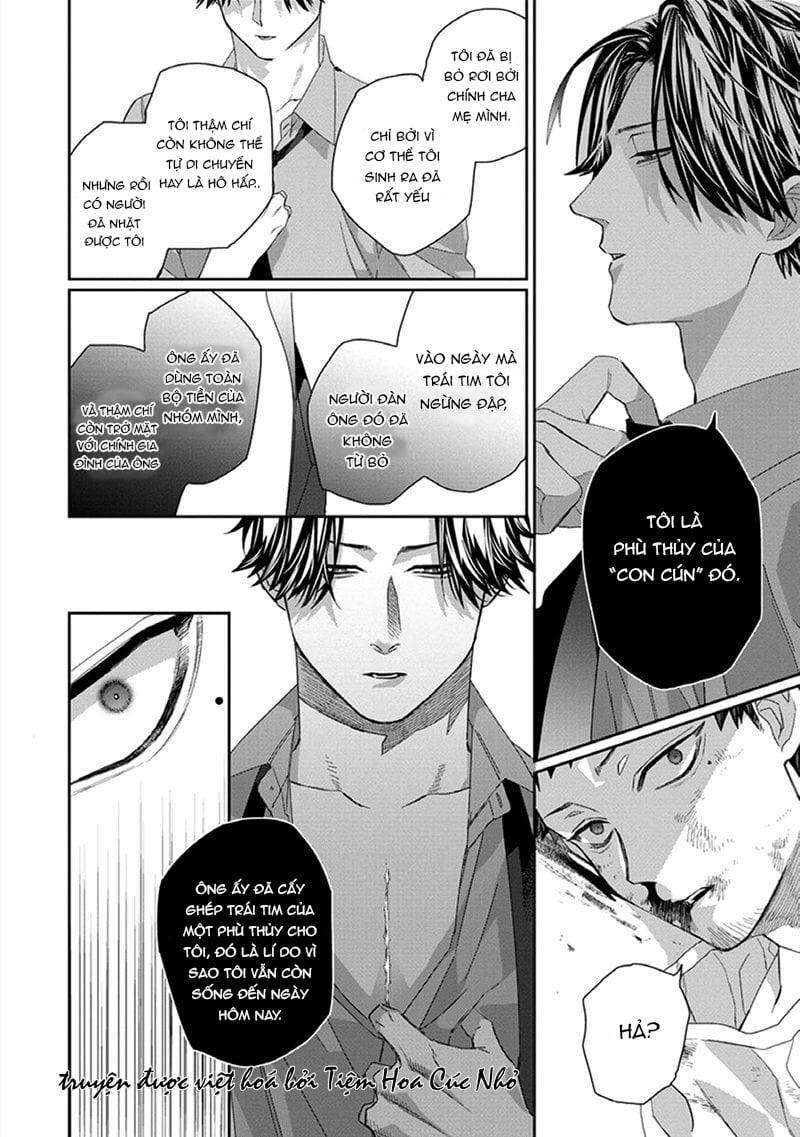 Phù Thủy Và Chú Mèo 5 trang 11