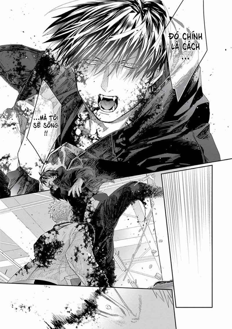 Phù Thủy Và Chú Mèo 5 trang 31