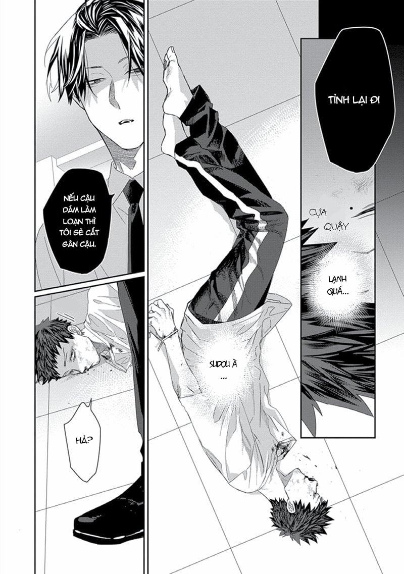 Phù Thủy Và Chú Mèo 5 trang 9