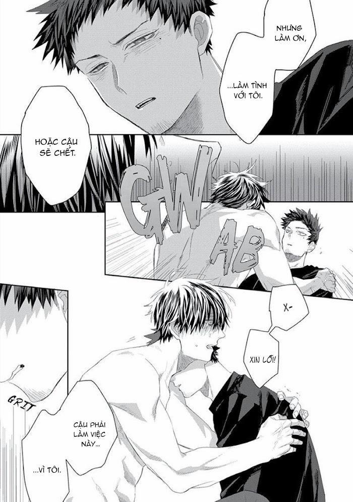 Phù Thủy Và Mèo 2 trang 8