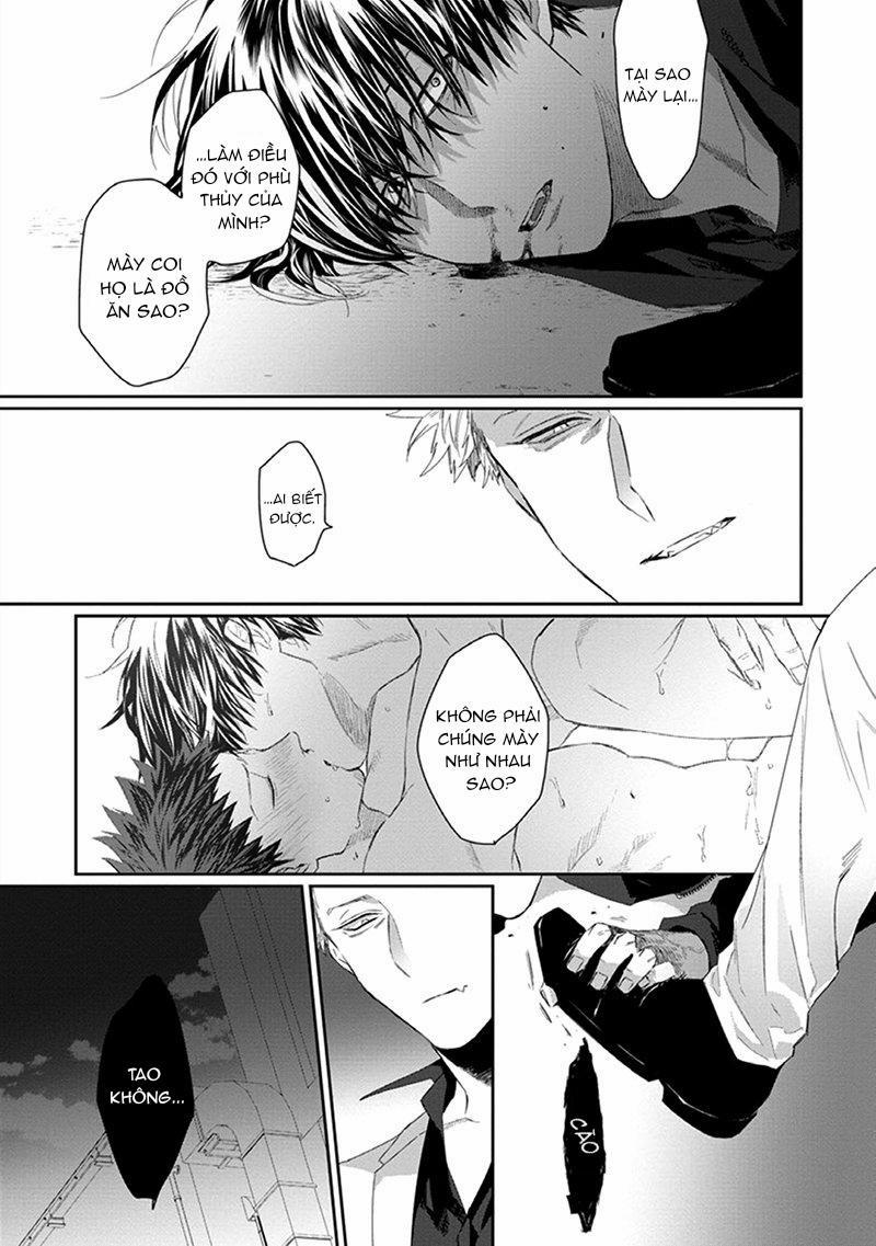 Phù Thủy Và Mèo 3 trang 26