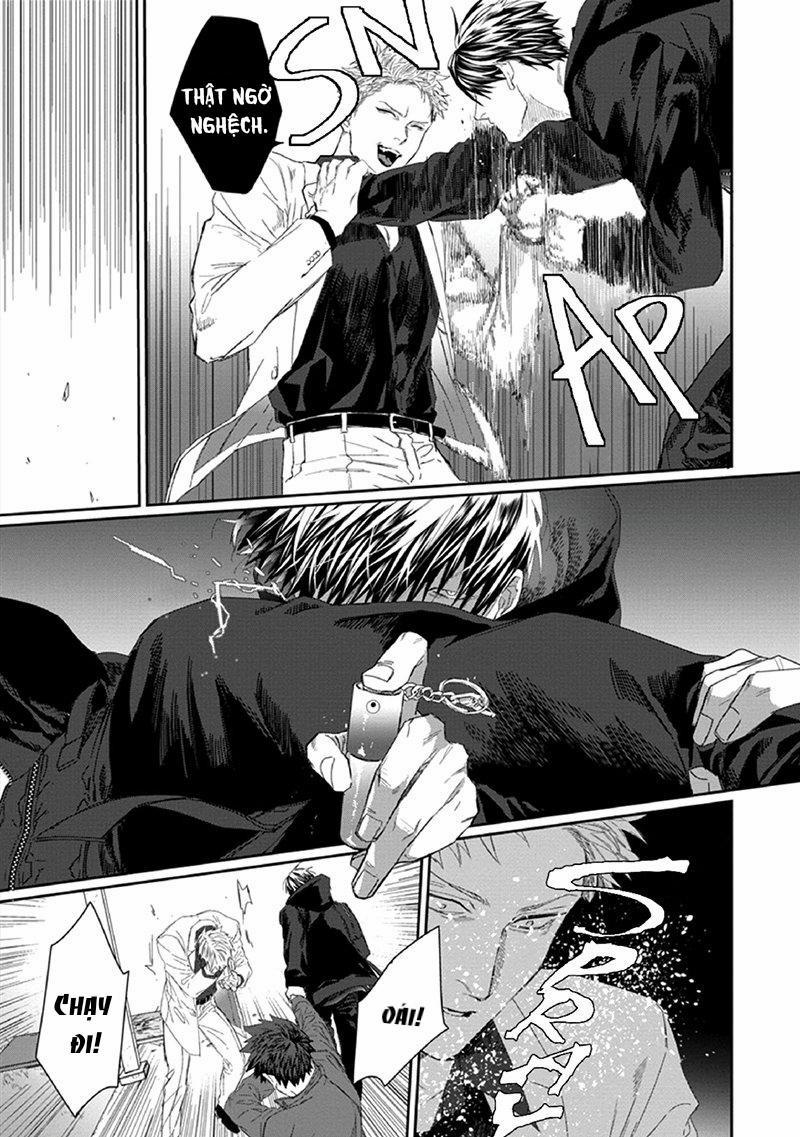 Phù Thủy Và Mèo 3 trang 8