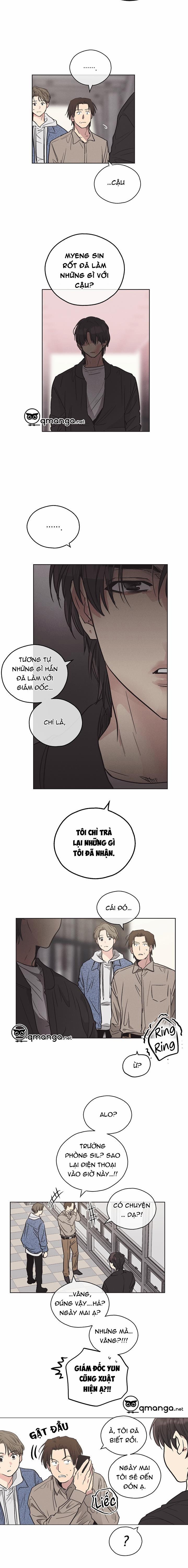 Phục Thù 5 trang 11