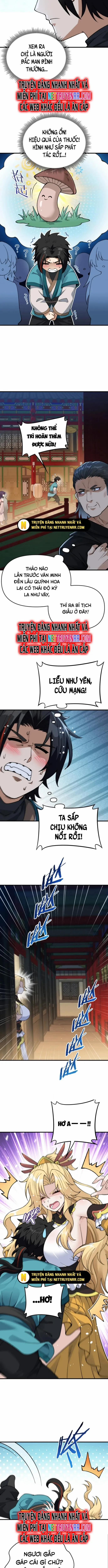 Phụng Chỉ Xuất Quỹ 13 trang 6