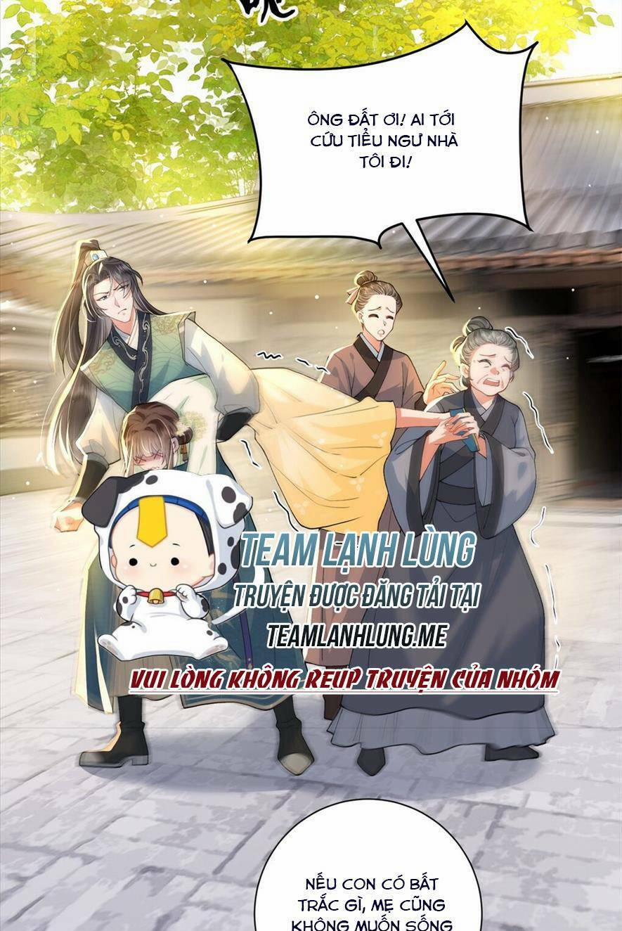 Phượng Hoàng Quy Hồi 4 trang 1