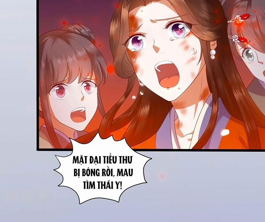 Phượng Hoàng Thác: Chuyên Sủng Khí Thê 1 trang 6