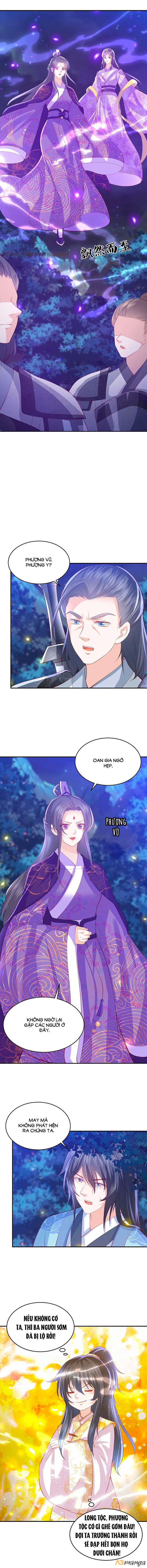 Phượng Hoàng Thác: Chuyên Sủng Khí Thê 205 trang 1