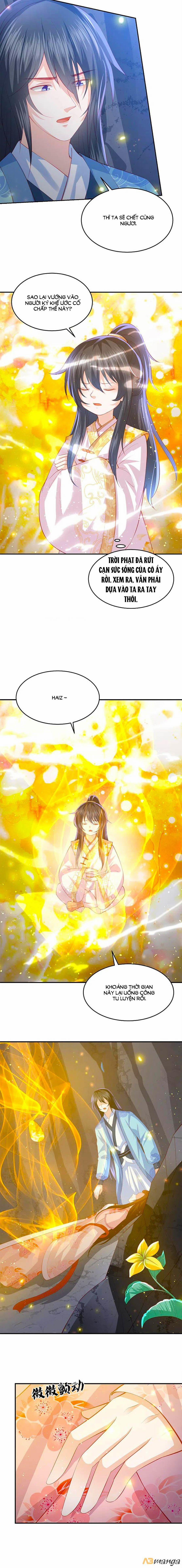 Phượng Hoàng Thác: Chuyên Sủng Khí Thê 207 trang 1