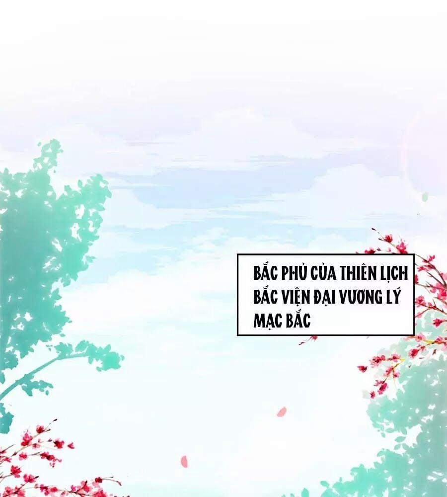 Phượng Hoàng Thác: Chuyên Sủng Khí Thê 21 trang 0