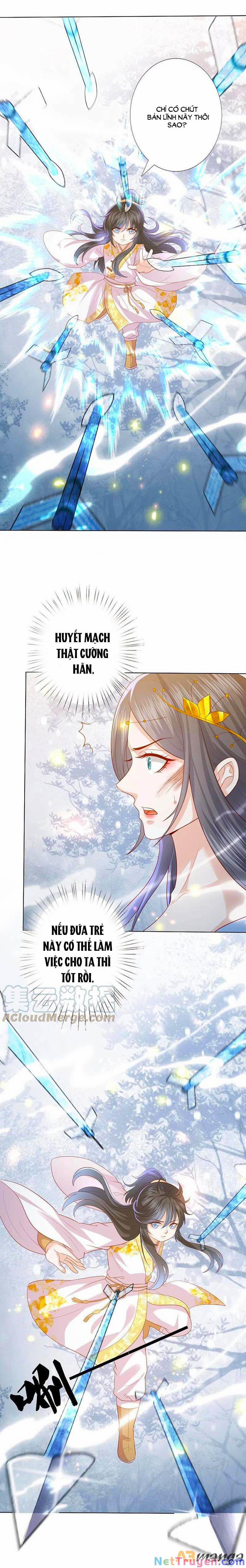 Phượng Hoàng Thác: Chuyên Sủng Khí Thê 216 trang 0