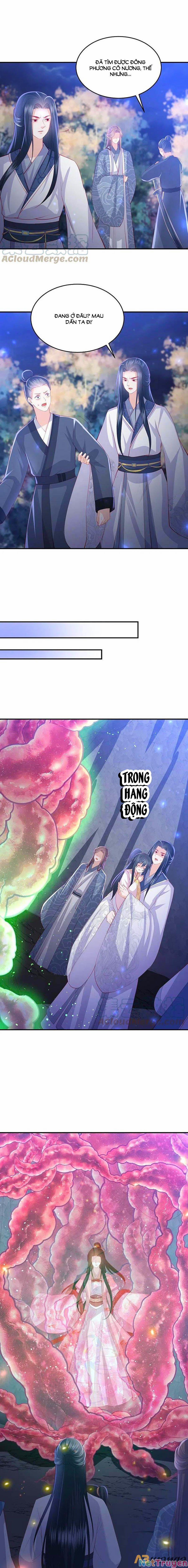 Phượng Hoàng Thác: Chuyên Sủng Khí Thê 223 trang 1