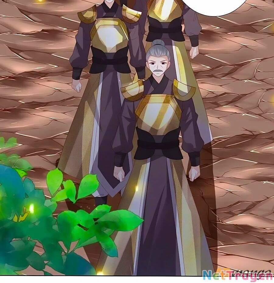 Phượng Hoàng Thác: Chuyên Sủng Khí Thê 238 trang 14