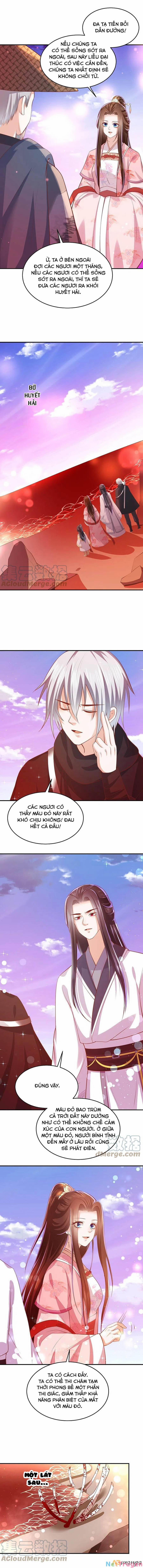 Phượng Hoàng Thác: Chuyên Sủng Khí Thê 241 trang 2