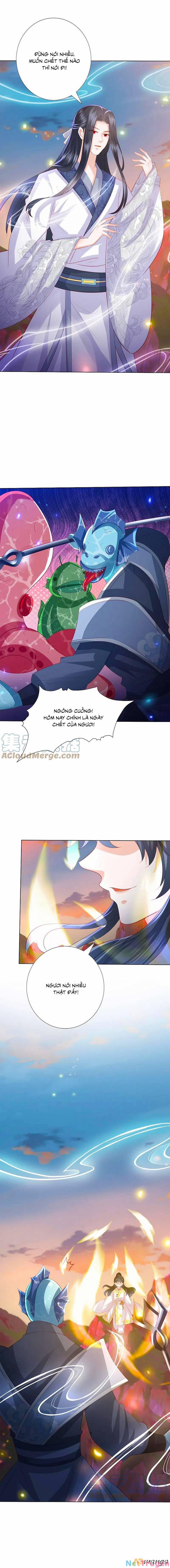 Phượng Hoàng Thác: Chuyên Sủng Khí Thê 244 trang 3