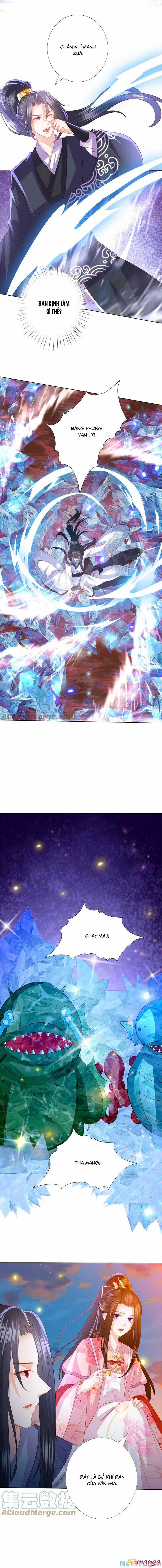 Phượng Hoàng Thác: Chuyên Sủng Khí Thê 244 trang 5