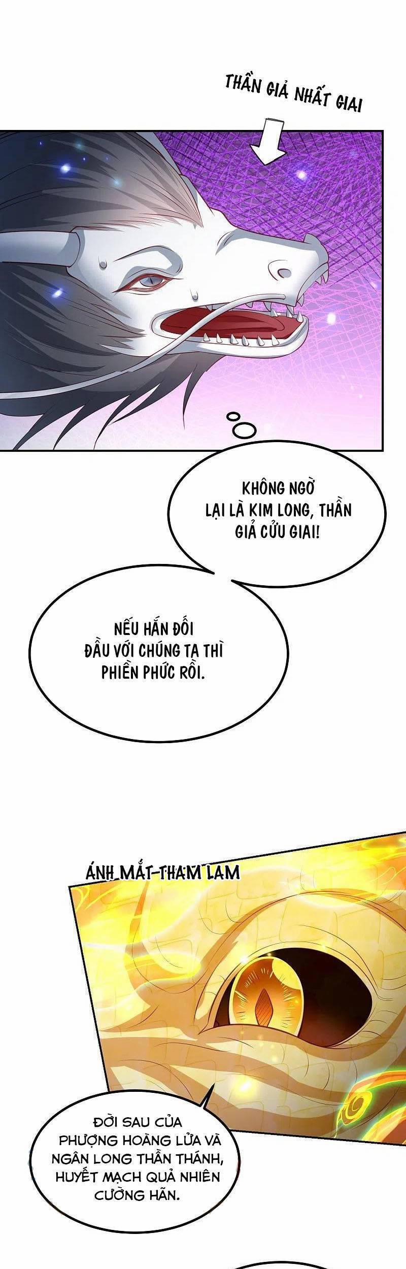 Phượng Hoàng Thác: Chuyên Sủng Khí Thê 247 trang 14