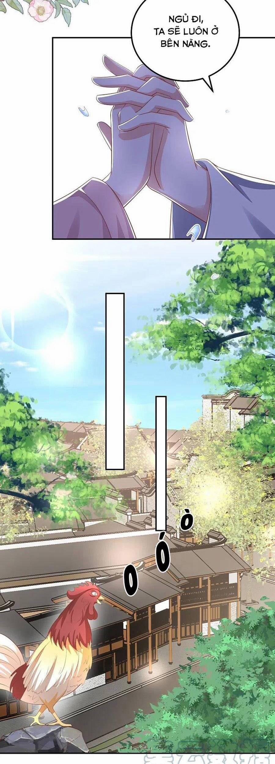 Phượng Hoàng Thác: Chuyên Sủng Khí Thê 252 trang 16