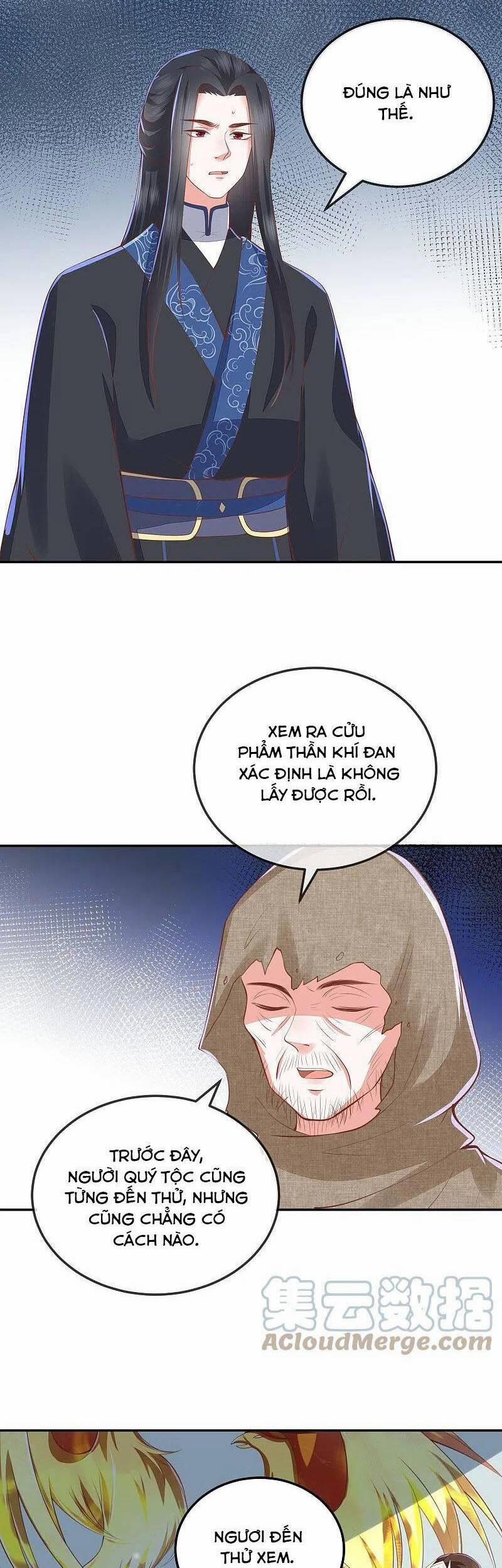 Phượng Hoàng Thác: Chuyên Sủng Khí Thê 254 trang 4