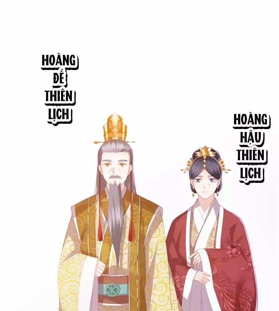 Phượng Hoàng Thác: Chuyên Sủng Khí Thê 31 trang 0