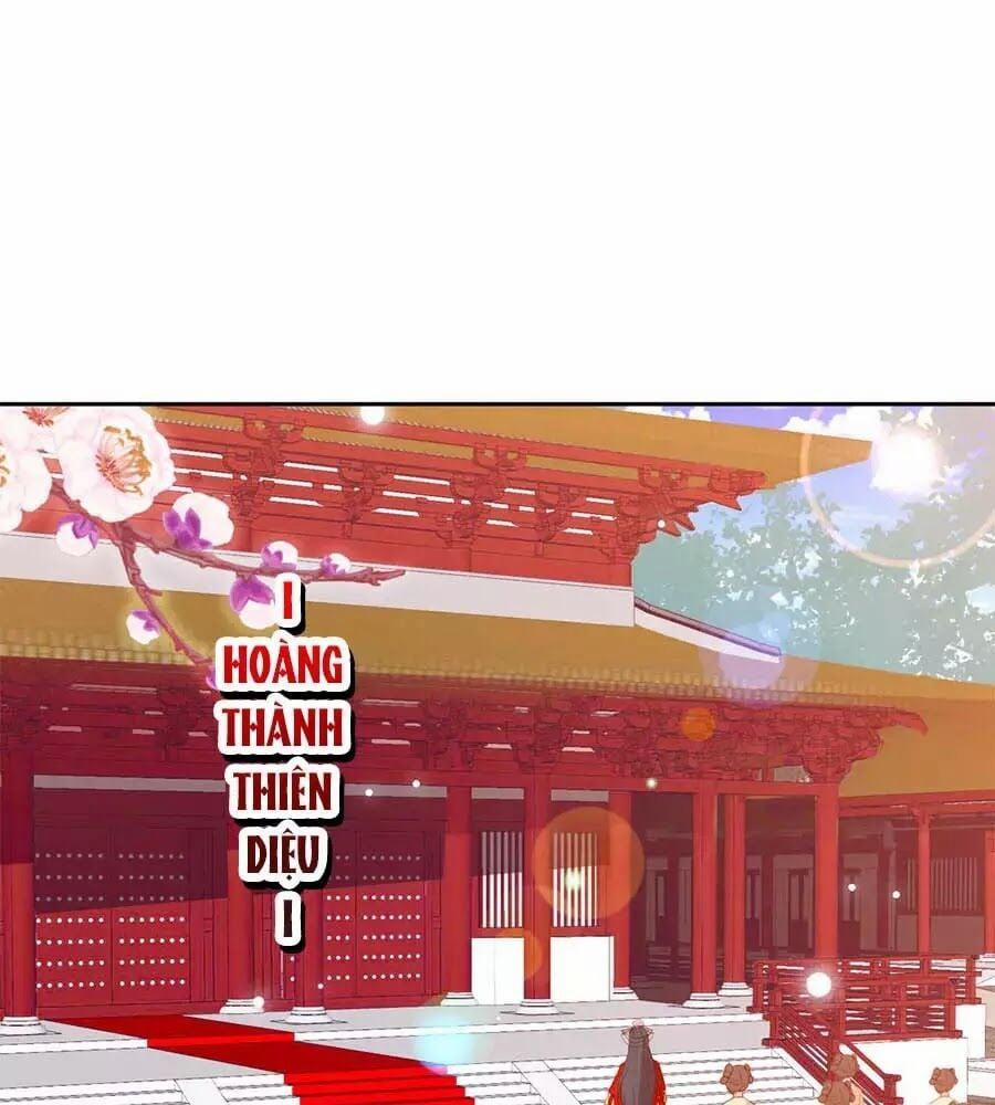 Phượng Hoàng Thác: Chuyên Sủng Khí Thê 42 trang 0