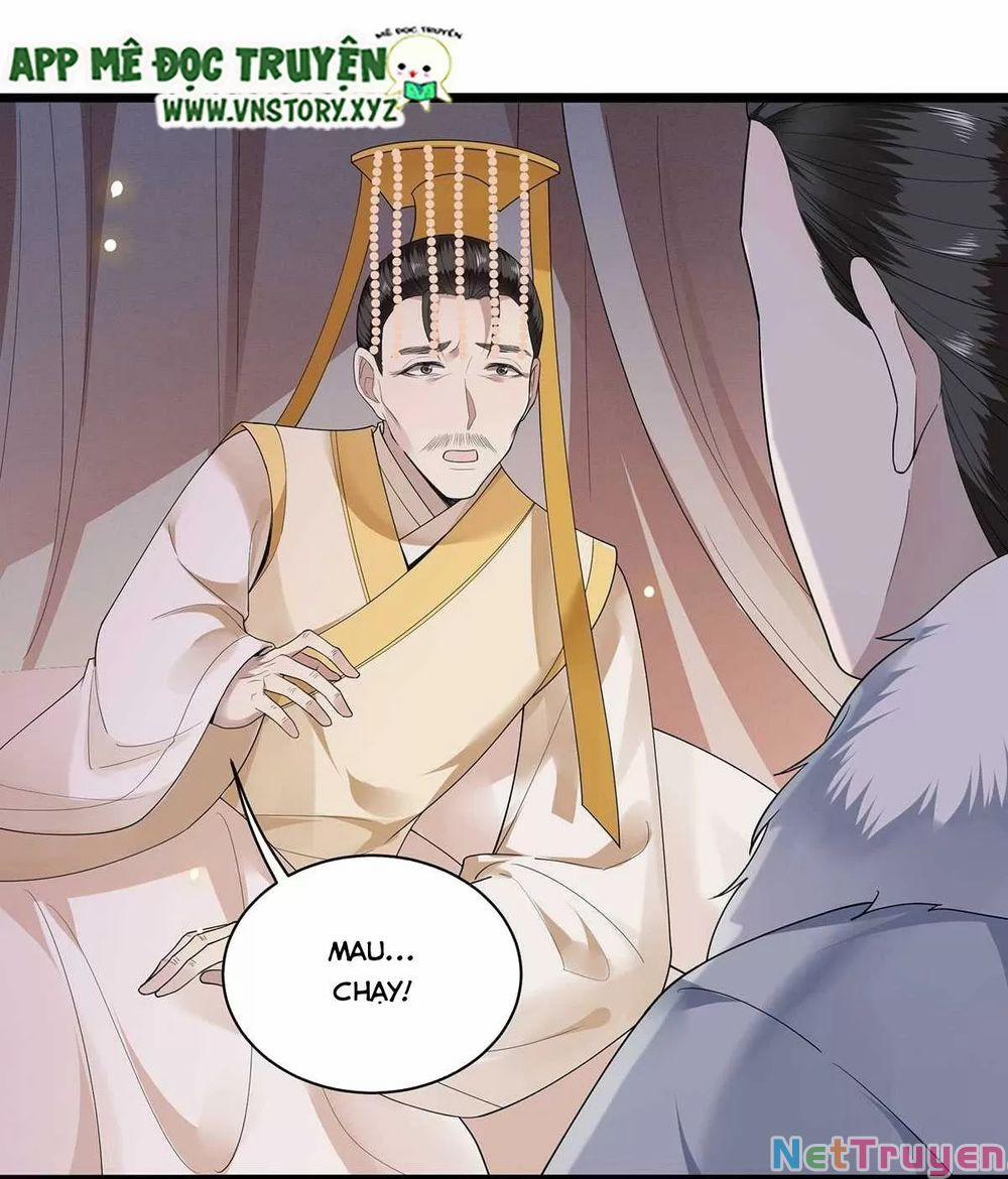 Phượng Hoàng Vu Phi 0 Phụ hoàng 0 trong tay ta trang 28