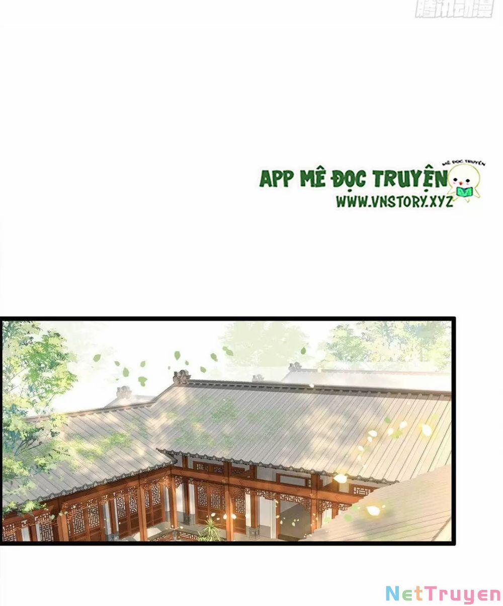 Phượng Hoàng Vu Phi 0 Tứ hoàng tử đột nhiên đến thăm trang 2