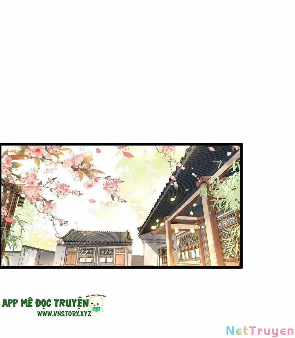 Phượng Hoàng Vu Phi 101 trang 7