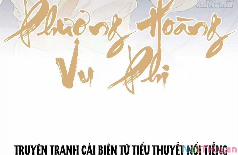 Phượng Hoàng Vu Phi 102 trang 1
