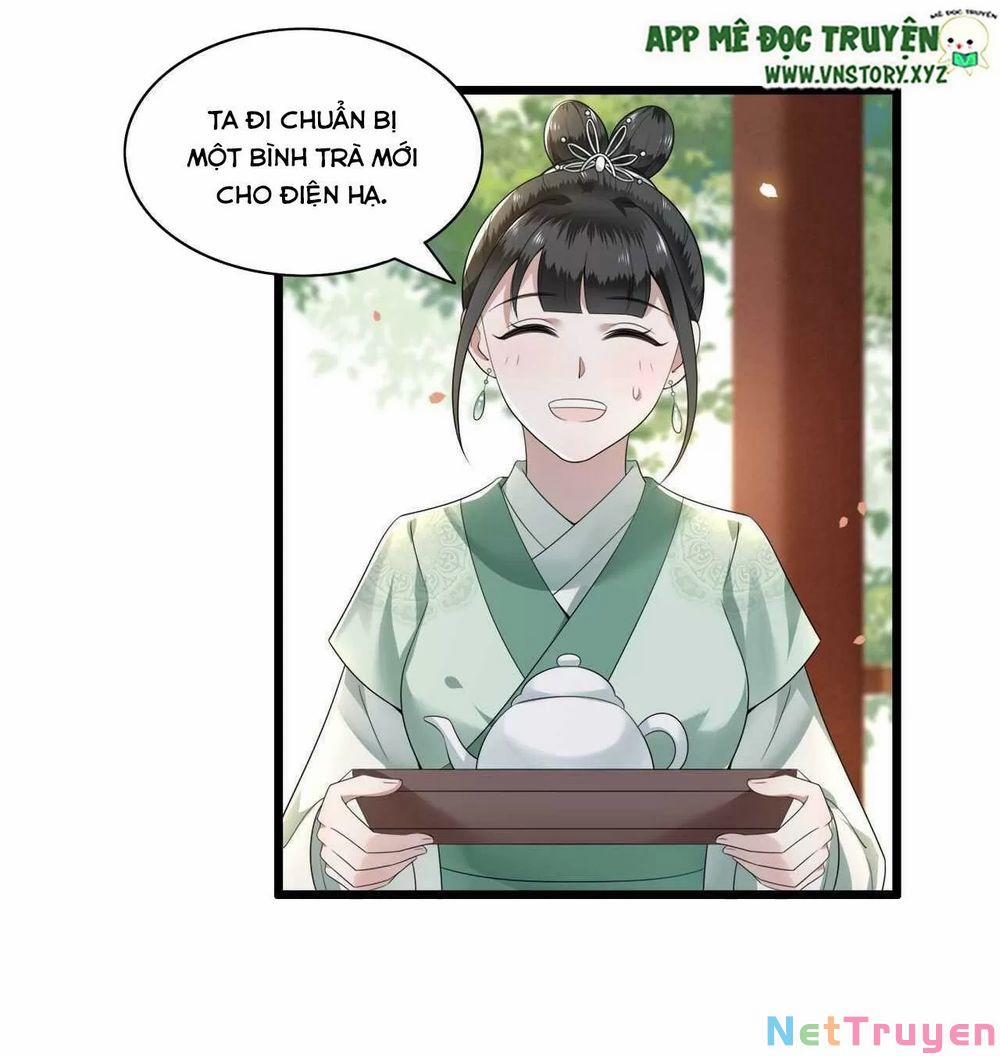 Phượng Hoàng Vu Phi 104 trang 5