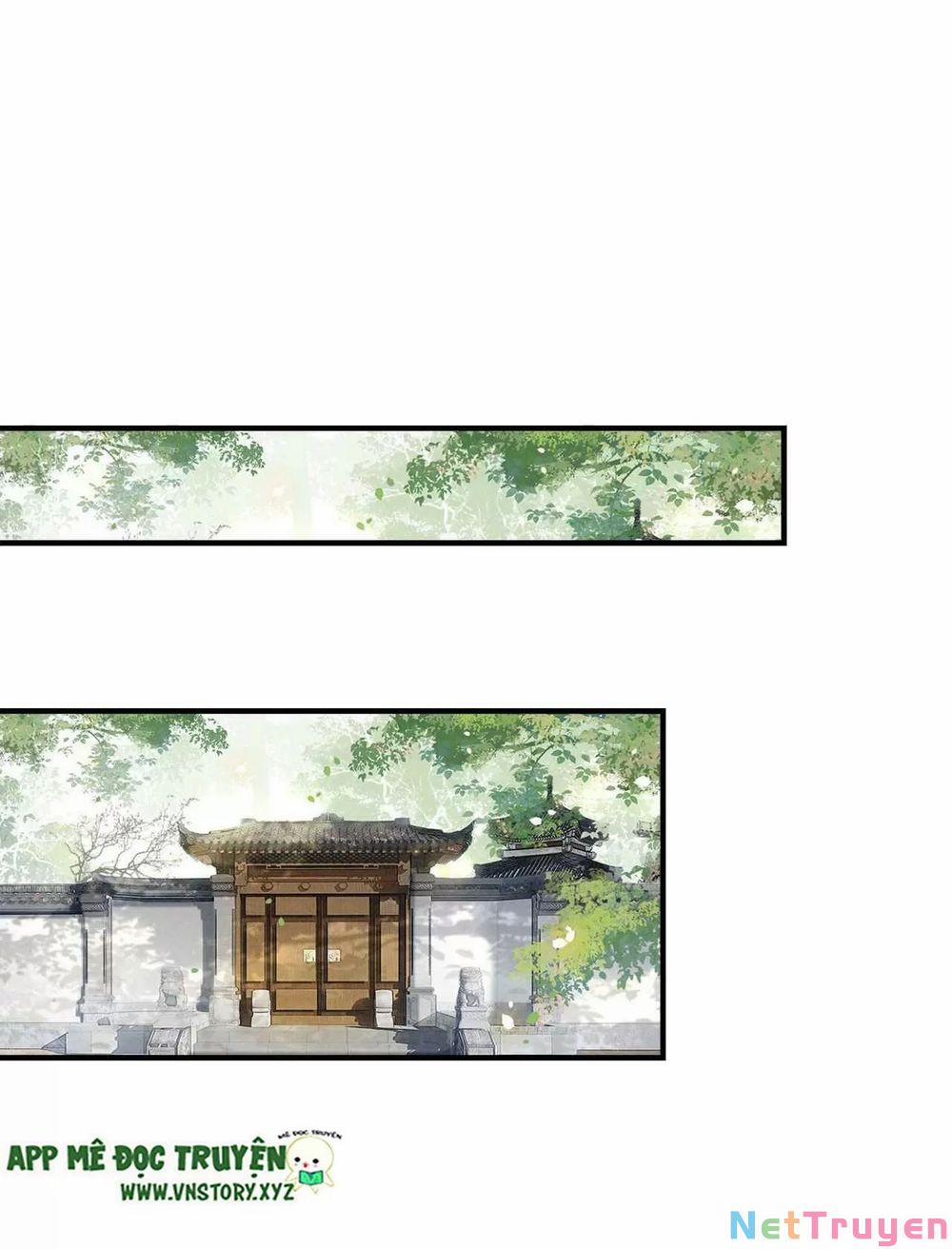 Phượng Hoàng Vu Phi 107 trang 11